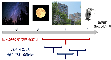 図1　人間の知覚特性とイメージセンサのダイナミックレンジ